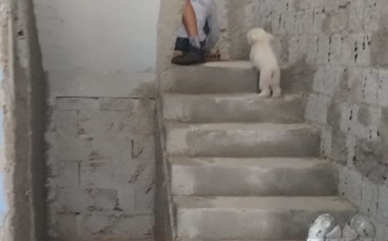 escada_durante.jpg