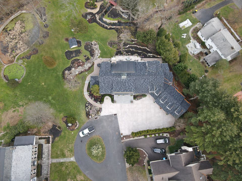 Seamless texture with Decorative Cuts