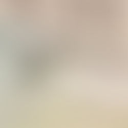 What I Learned Helping Lead Oversight of $5 Trillion in Pandemic Relief