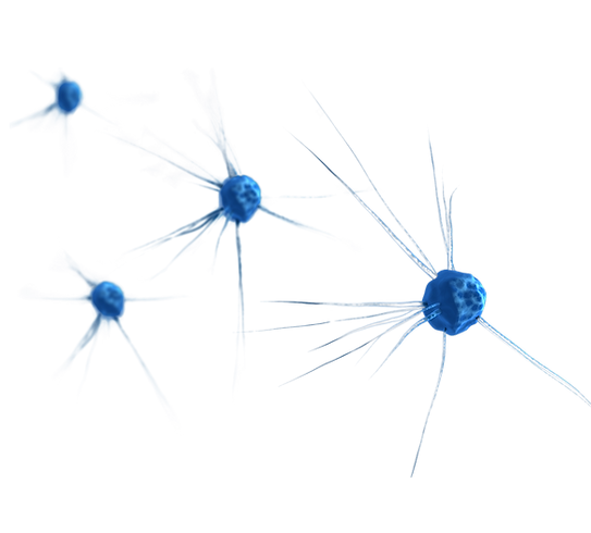 microorganisms