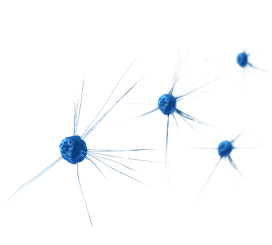 microorganisms