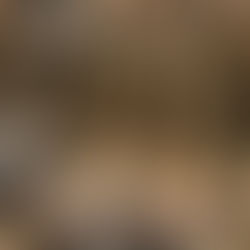 From Boots to Fraud: How a Subpar Contract Put Warfighters at Risk