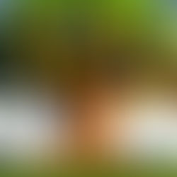 Moving Beyond the Low-Hanging Fruit