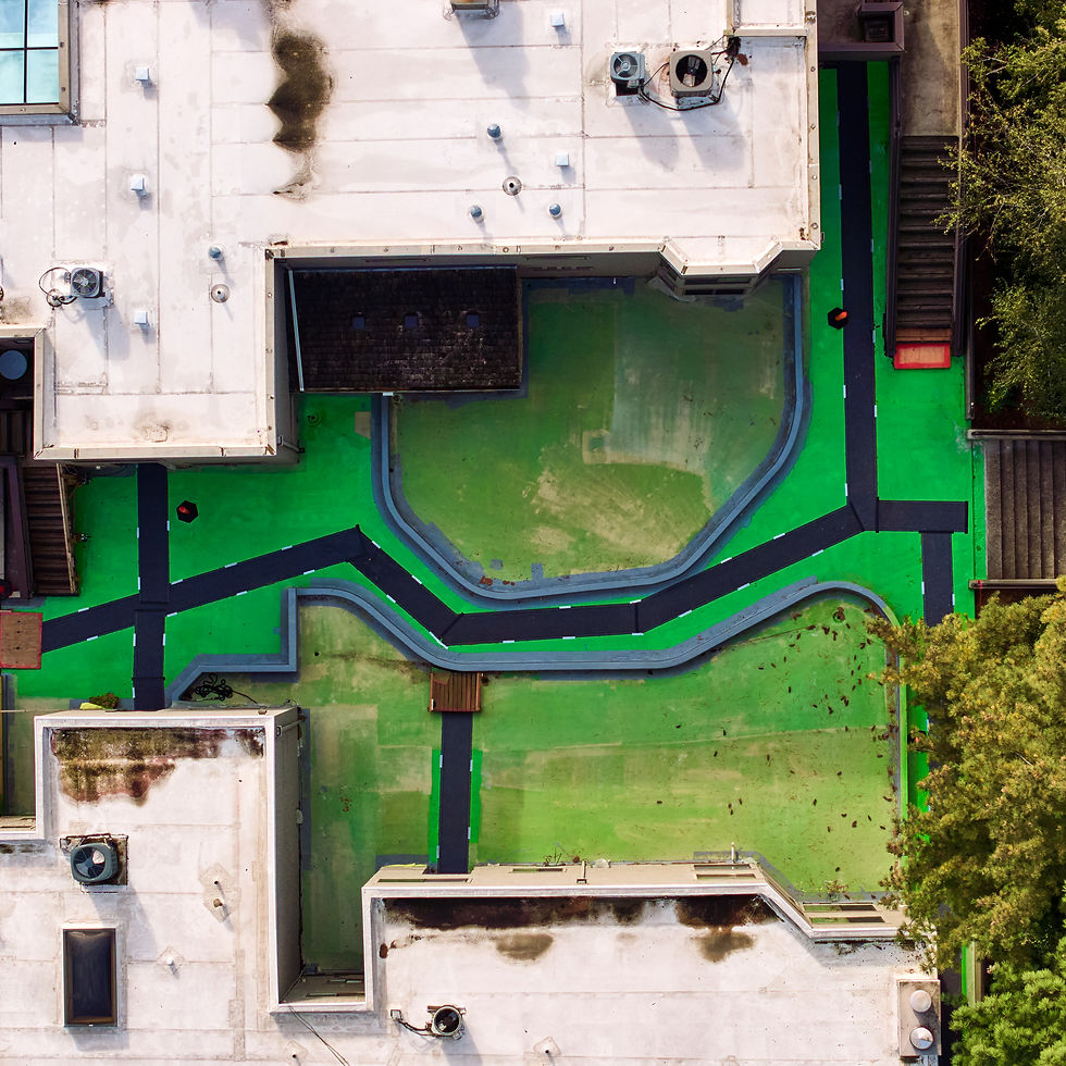 Aerial view of a complex green roof system with black pathways.