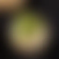 Ispanaklı Tuile Tarifi