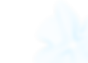 Group 1008.png