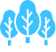 Forestry icon