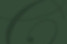 Footer Background-80.jpg