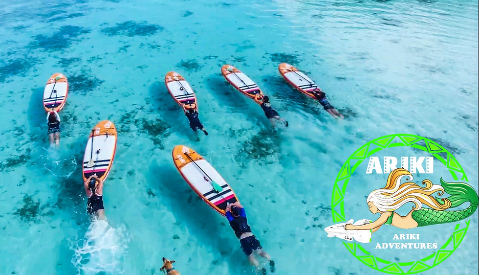 SUP fit push board.JPEG