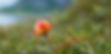 Screen Shot 2024-03-21 at 3.04.28 PM.jpg