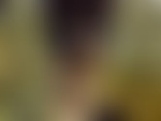 Circuit pour visiter Paris à Noël : Les plus belles promenades illuminées