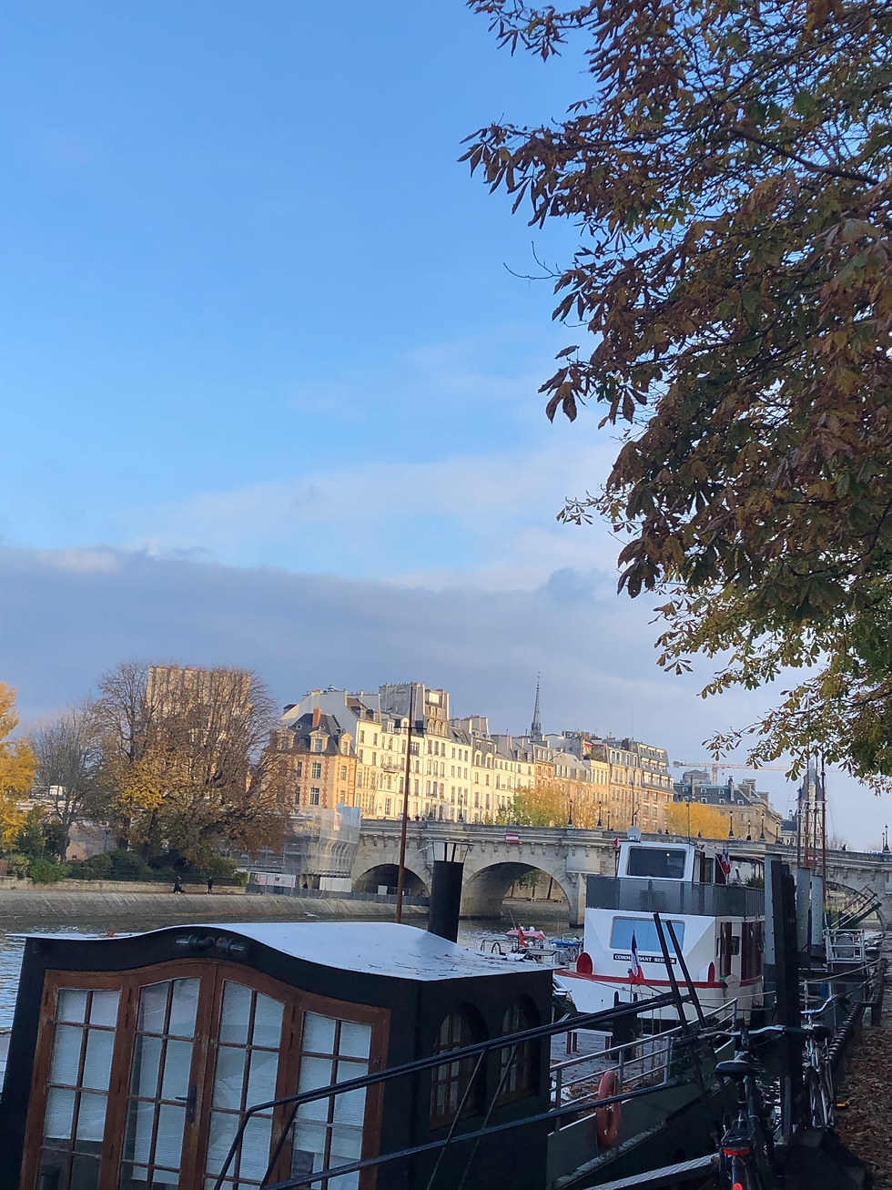 Seine, place Dauphine, Pont neuf