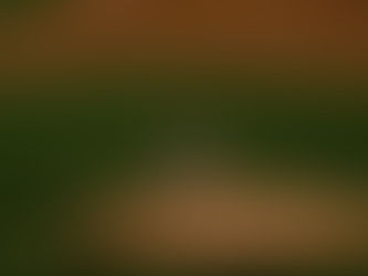 a pitcher on a mound throwing a baseball