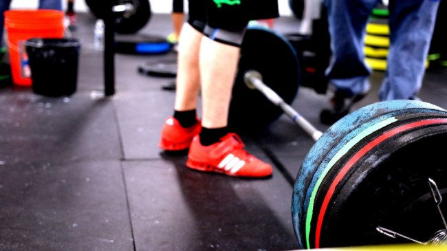 training rivalry-fitness rivalry
