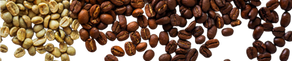 Light, Medium, Dark Roast - what is the difference? 