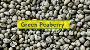 Peaberry Coffees