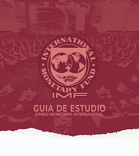 IMF.png
