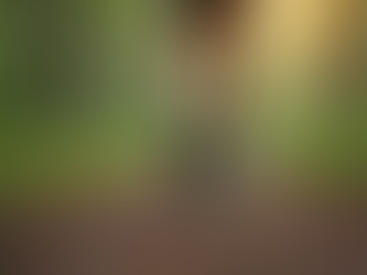 How Long Run Coaching Builds Endurance: Endurance Coaching Tips