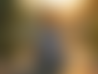 Unlock Your Potential with Holistic Coaching Techniques