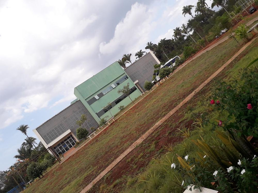 UFNT - UNIDADE BABAÇU
