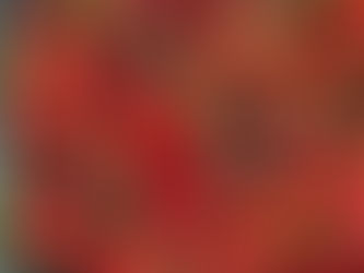 Mevsimsellik mi, Sürdürülebilirlik mi?