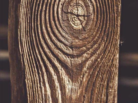 Screen Shot 2022-08-01 at 8.34.21 AM.png