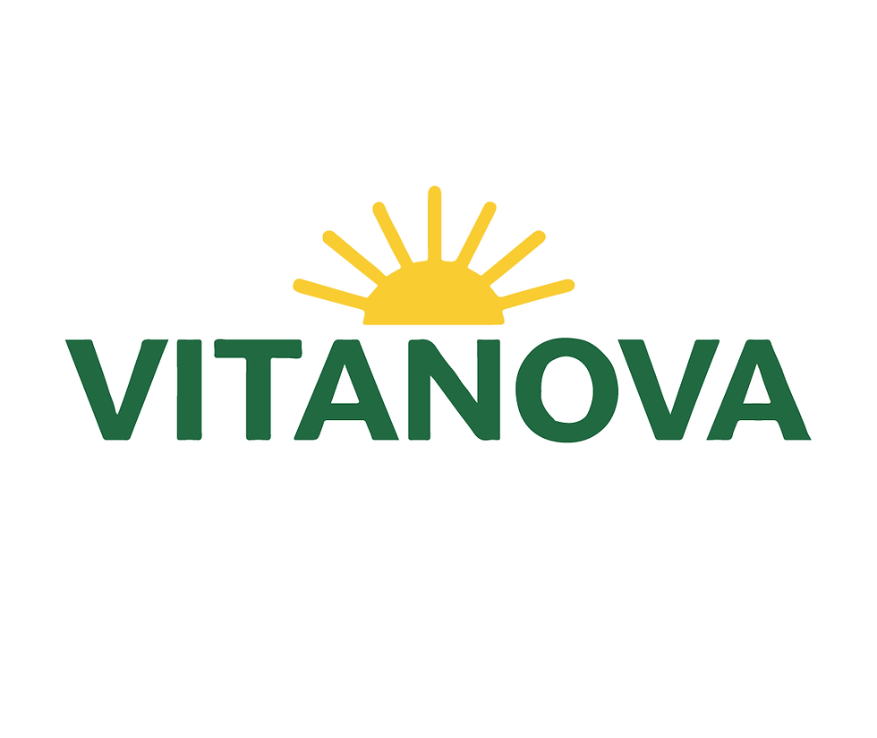 VitaNova-01.png