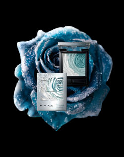 190516_KATE_rose_190620