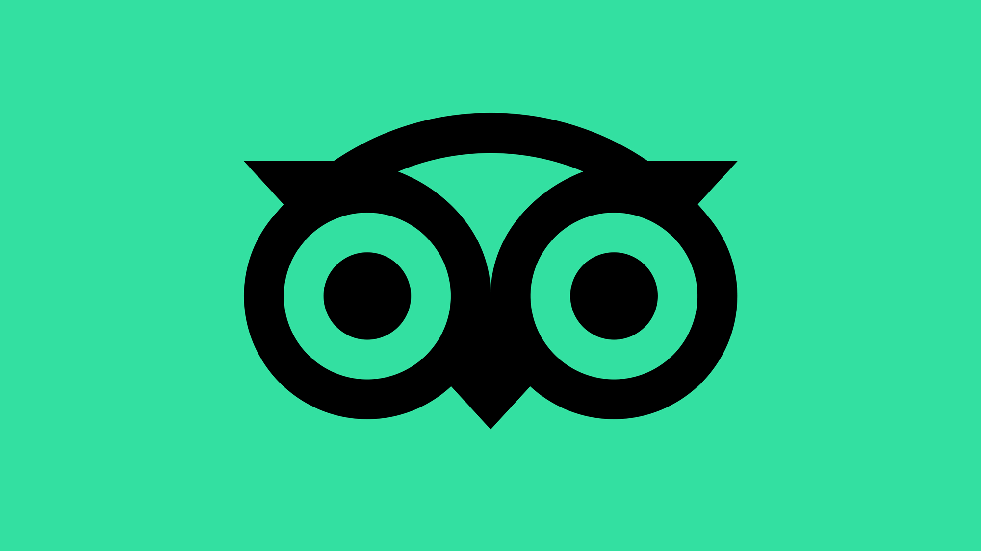 tripadvisor_logo_icon_detail.png