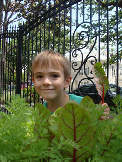 Sacramento Day Care & Preschool
