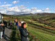 The Dingle P 3.jpeg