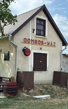 Gombos - ház Ősiben