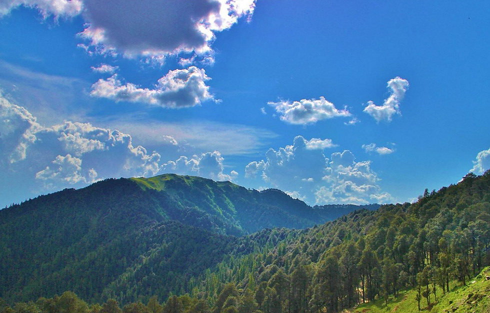 the scenic route of Jalori pass