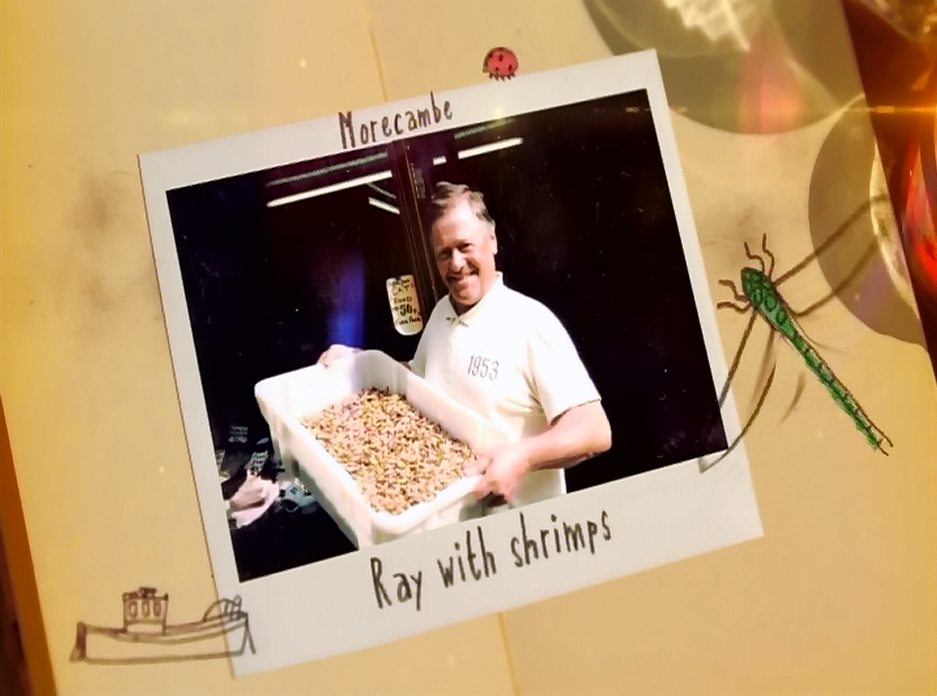 ray with shrimps.png