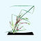 Floral Designer - Ikebana 4.jpg
