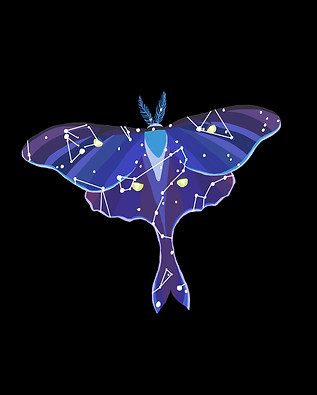 Lunamothstarsb.jpg