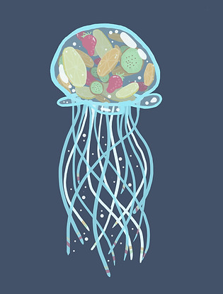 Fruitjellyfishfix.jpg