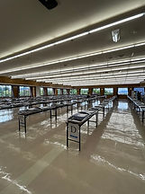 IMG_1183.jpeg