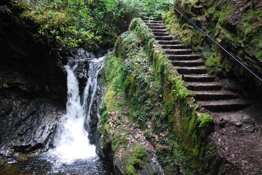 Argyll Forrest & Faerie Puck's Glen Day Tour