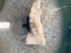 3840B91E-E68A-4CED-91A1-A69FD9CD170D