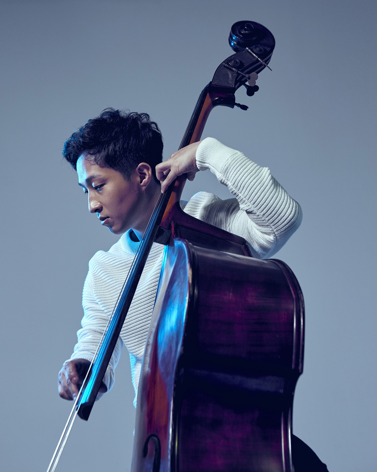 Jazz Bassist