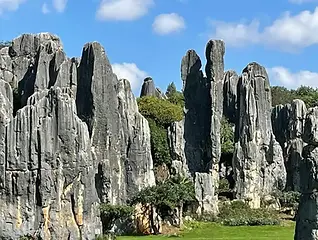 stone forest