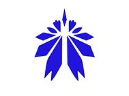 량2.png