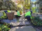 Fall-Color-Rotation-and-Cleanup.jpeg.webp
