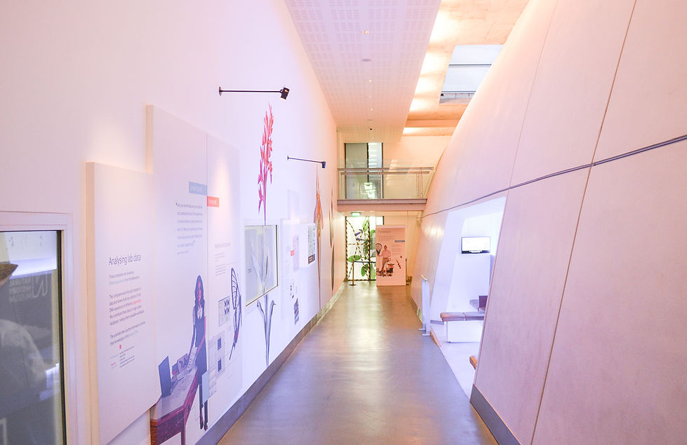 Natural History Museum.jpg