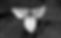 AdobeStock_357873_Preview.jpeg