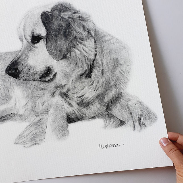 MEGFINEART.jpg