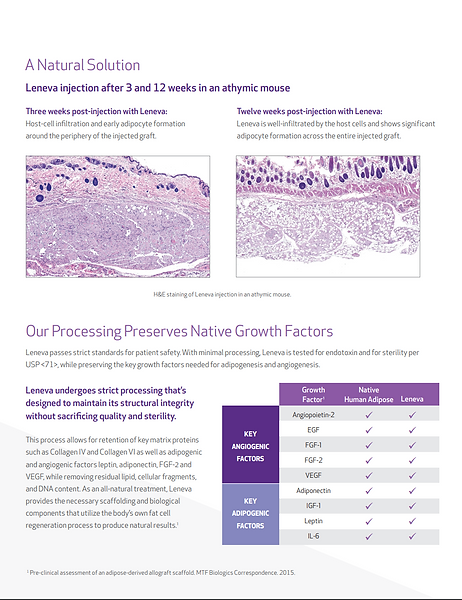 Leneva Brochure page 3