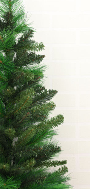 Christmas tree in a stand