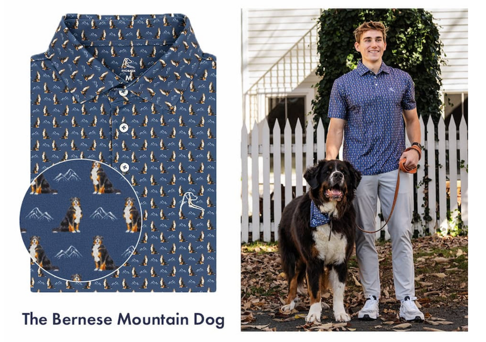 The Bernese Mountain Dog